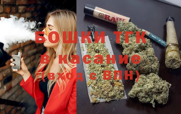 стафф Арсеньев