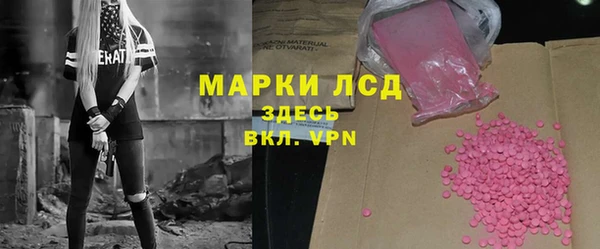 стафф Арсеньев