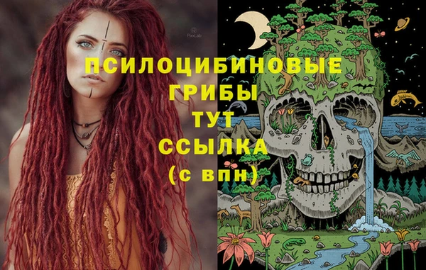 бутират Аркадак