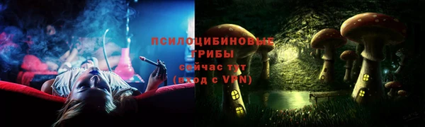 стафф Арсеньев