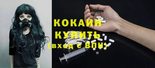 стафф Арсеньев