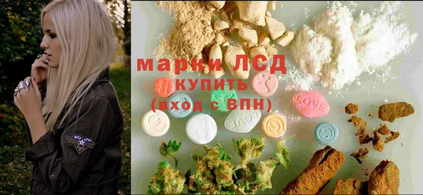 стафф Арсеньев