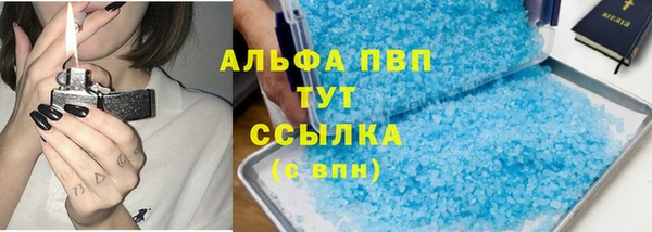 стафф Арсеньев