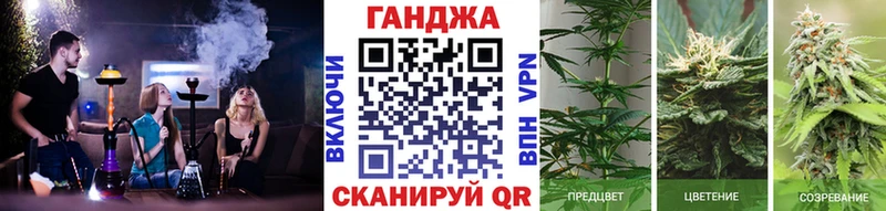 хочу   Багратионовск  МАРИХУАНА сатива 